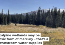 The drinking water used in many of Colorado’s cities passes through mountain wetlands. Eve-Lyn Hinckley